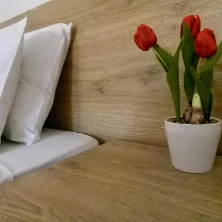 Papadatos Studios Apartment Argostoli (Kefalonia)